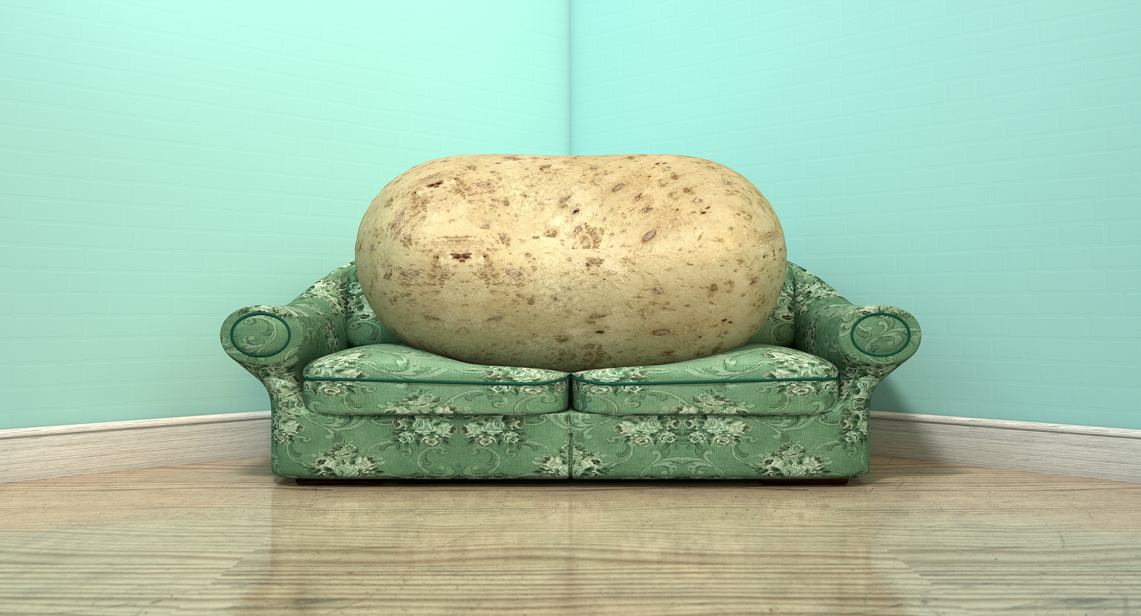 Couch Potato On Old Sofa